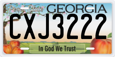 GA license plate CXJ3222