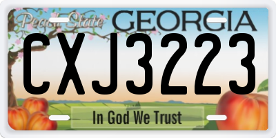 GA license plate CXJ3223