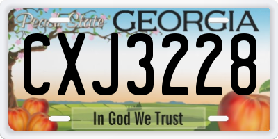 GA license plate CXJ3228