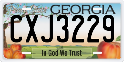 GA license plate CXJ3229