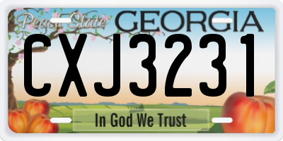 GA license plate CXJ3231