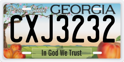 GA license plate CXJ3232