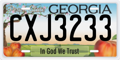 GA license plate CXJ3233
