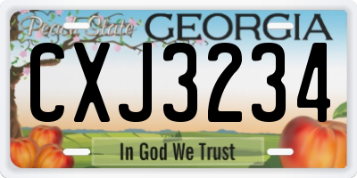 GA license plate CXJ3234