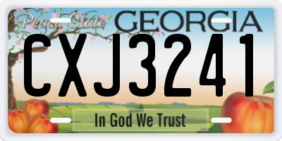 GA license plate CXJ3241