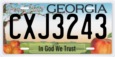 GA license plate CXJ3243