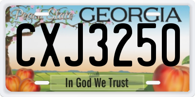 GA license plate CXJ3250