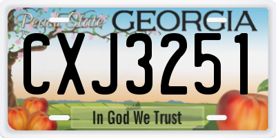 GA license plate CXJ3251