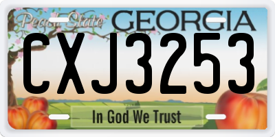 GA license plate CXJ3253