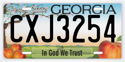 GA license plate CXJ3254