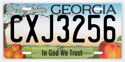 GA license plate CXJ3256