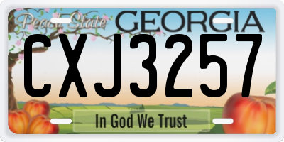 GA license plate CXJ3257