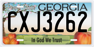 GA license plate CXJ3262