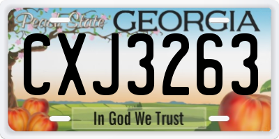 GA license plate CXJ3263