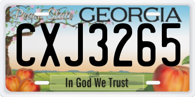 GA license plate CXJ3265