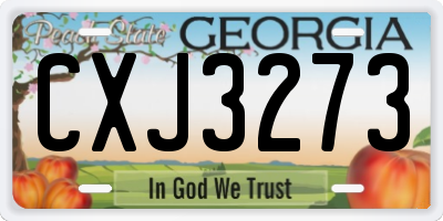 GA license plate CXJ3273