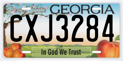GA license plate CXJ3284