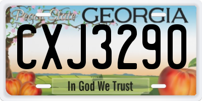 GA license plate CXJ3290