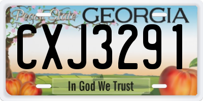 GA license plate CXJ3291
