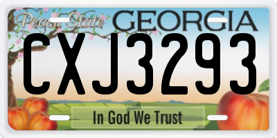GA license plate CXJ3293