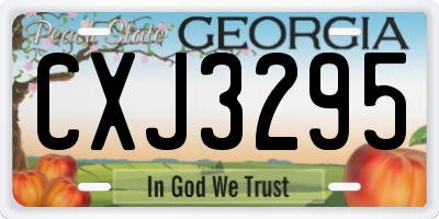 GA license plate CXJ3295