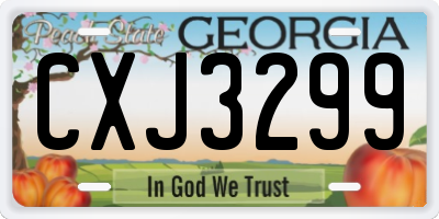 GA license plate CXJ3299
