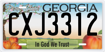 GA license plate CXJ3312