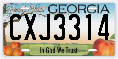 GA license plate CXJ3314
