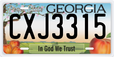 GA license plate CXJ3315