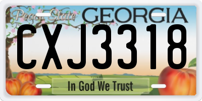 GA license plate CXJ3318