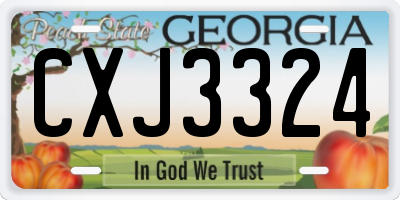 GA license plate CXJ3324