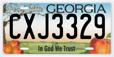 GA license plate CXJ3329
