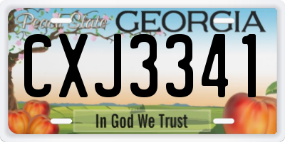 GA license plate CXJ3341