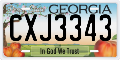 GA license plate CXJ3343