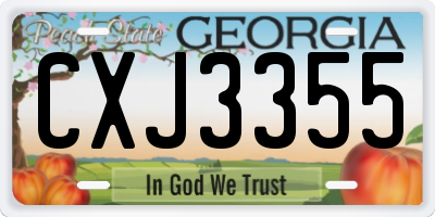 GA license plate CXJ3355