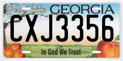 GA license plate CXJ3356