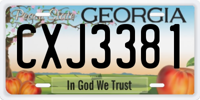 GA license plate CXJ3381