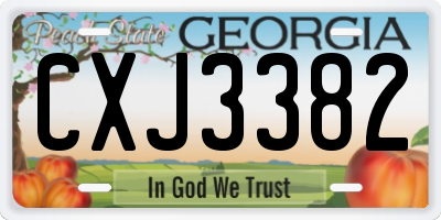 GA license plate CXJ3382