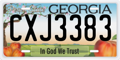 GA license plate CXJ3383