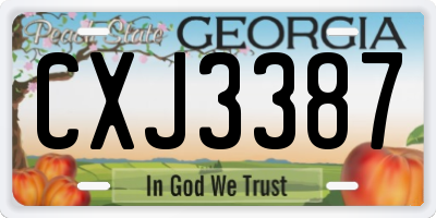 GA license plate CXJ3387