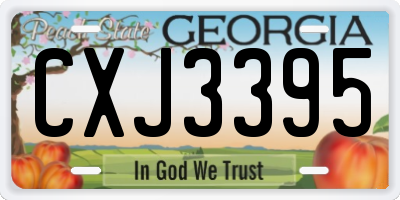 GA license plate CXJ3395