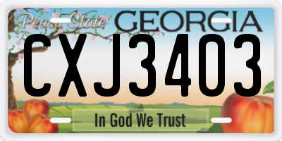 GA license plate CXJ3403