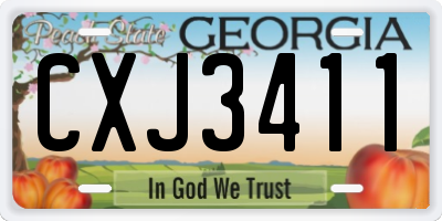 GA license plate CXJ3411