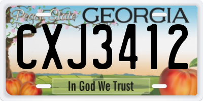 GA license plate CXJ3412