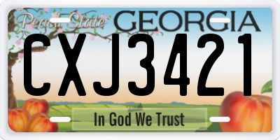 GA license plate CXJ3421