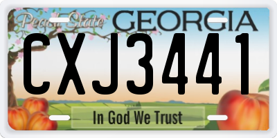 GA license plate CXJ3441