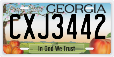 GA license plate CXJ3442