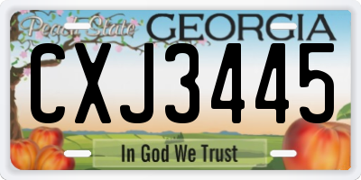 GA license plate CXJ3445