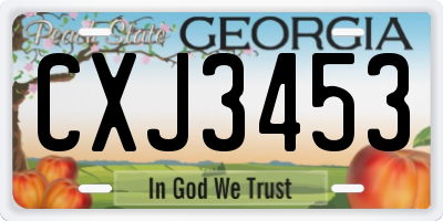 GA license plate CXJ3453