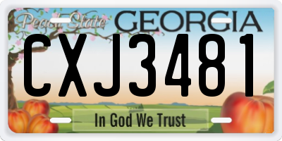GA license plate CXJ3481